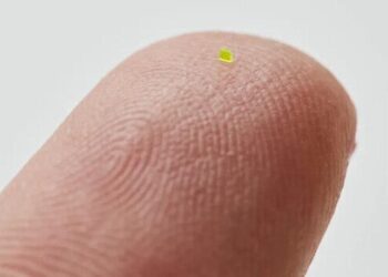 İğne deliğinden geçebilecek kadar küçük olan mikroskobik çanta 63 bin dolara satıldı