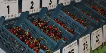 Akşehir'de 9. Kiraz Festivali düzenlendi