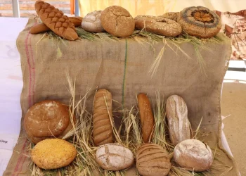 Göbeklitepe'de Buğday Şenliği Düzenlenecek