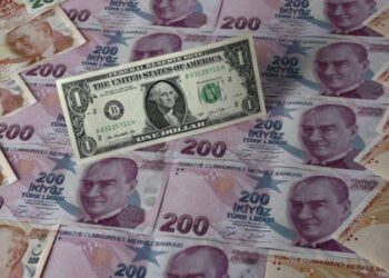 Asgari ücret cebe girmeden 59 dolar eridi