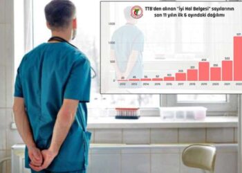 Türkiye'den kaçış: Hekimler göçü