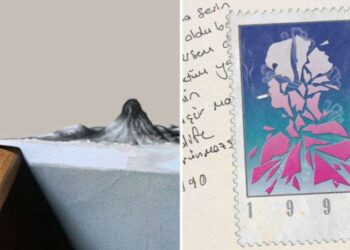 Vitrindeki albümler