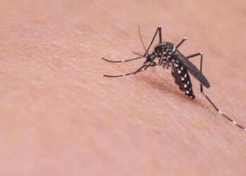 Diyabet hastalarına sivrisinek uyarısı