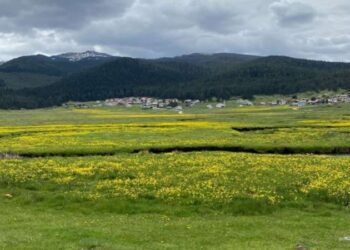 Yaylalara gideceklere uzmanından uyarı!