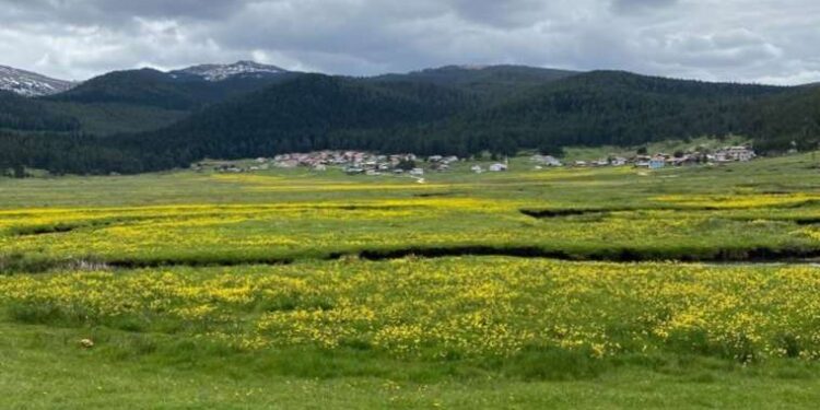 Yaylalara gideceklere uzmanından uyarı!