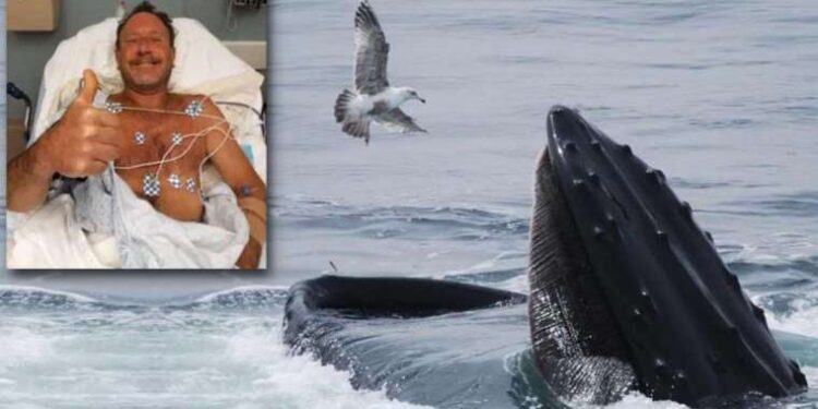 Balina tarafından yutulan adam yaşadıklarını anlattı