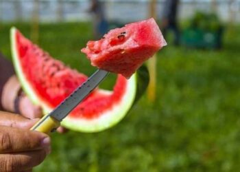 Karpuzu peynirle yerken bir kez daha düşünün! Uzmanı karpuzseverleri uyardı