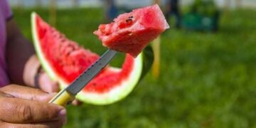 Karpuzu peynirle yerken bir kez daha düşünün! Uzmanı karpuzseverleri uyardı