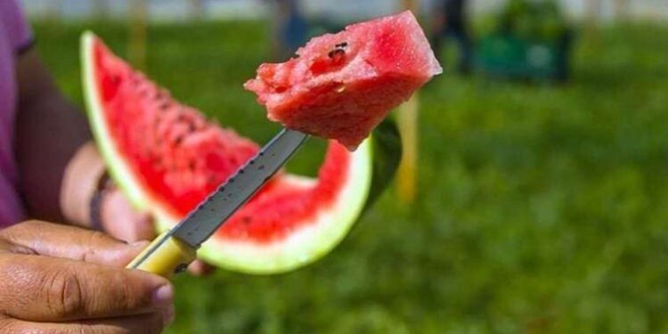 Karpuzu peynirle yerken bir kez daha düşünün! Uzmanı karpuzseverleri uyardı