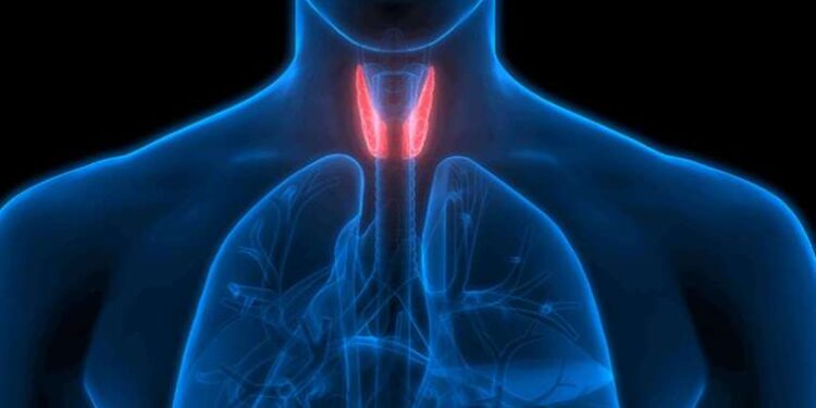 'Hormonal bozukluklar ve tiroid hastalıkları aşırı terlemeye neden olabilir'