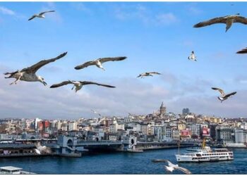 Uzmanından sıcaklık uyarısı: ‘Sıcak havalarda koyu renk elbise ve yağlı yiyeceklerden uzak durun’