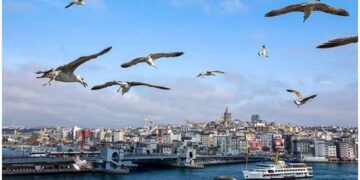 Uzmanından sıcaklık uyarısı: ‘Sıcak havalarda koyu renk elbise ve yağlı yiyeceklerden uzak durun’