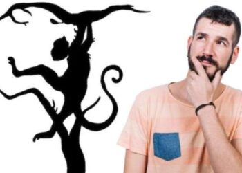 Bu resimde ilk gördüğünüz hayvan karakterinizi belirliyor… Kişilik tesi!