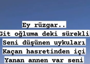 Oğlunun ölümüyle yıkılan Alişan'ın annesi Suzan Tektaş'tan yürek sızlatan paylaşım