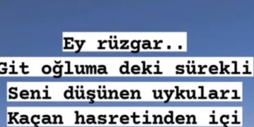 Oğlunun ölümüyle yıkılan Alişan'ın annesi Suzan Tektaş'tan yürek sızlatan paylaşım
