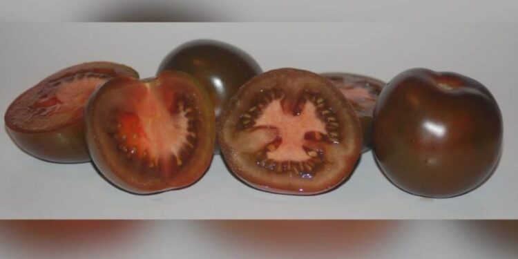 Siyahı da kırmızısı da kanserin başdüşmanı