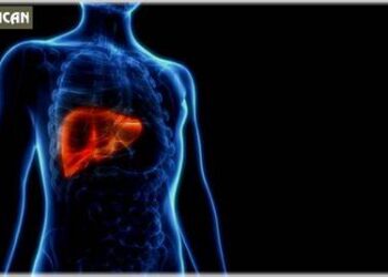 Hepatite karşı “Bilgilenin, aşılanın, korunun!”