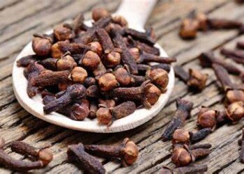 Her derde deva: Karanfilin faydaları nelerdir?