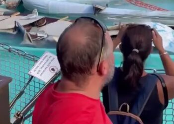 Almanya'da bir eğlence parkında yüksek dalış akrobasi sahnesi çöktü. Korkunç kazada yedi kişi yaralandı