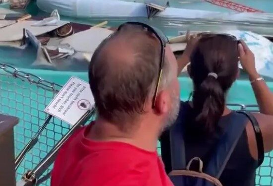 Almanya'da bir eğlence parkında yüksek dalış akrobasi sahnesi çöktü. Korkunç kazada yedi kişi yaralandı