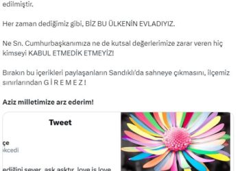 Belediye başkanı, şarkıcı Gökçe'nin ilçeye girişini yasakladı