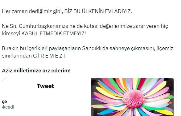 Belediye başkanı, şarkıcı Gökçe'nin ilçeye girişini yasakladı