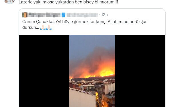 Demet Akalın'dan Çanakkale'deki orman yangınına ilginç tespit: Ağaçlar Lazerle yukarıdan yakıldı