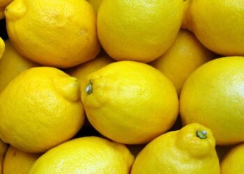 Atık değil, hazine: Limon kabuklarını değerlendirmenin yolları