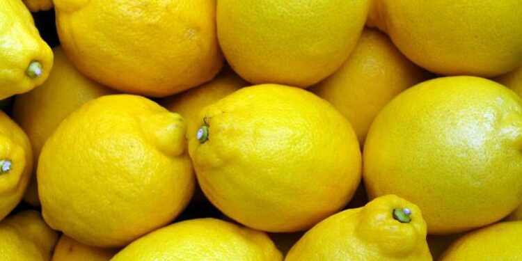 Atık değil, hazine: Limon kabuklarını değerlendirmenin yolları