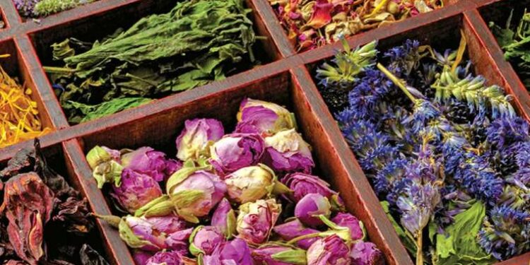 Bünyeyi çelik gibi yapıyor… Her evde bulunan doğal antibiyotikler