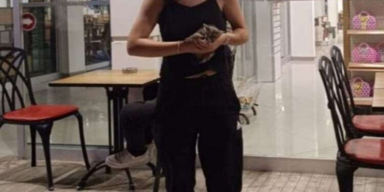 Ordu’dan başlayan yolculuğu Çorum’da bitti! Yaramaz kediden 400 kilometrelik yolculuk