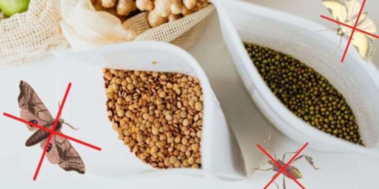 Bulgur, Prinç, fasulye gibi bakliyatlarınızı böceklerden korumanın yolu! İşte denemeniz gereken 7 sıradışı ipuçları!