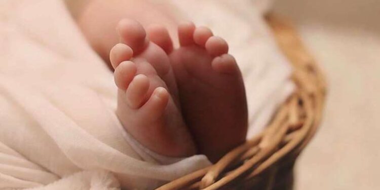 ‘Sıcaklık tüp bebek tedavisindeki başarıyı etkilemez’