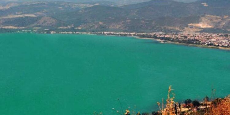 İznik Gölü’nü turkuaza boyadı! Alg patlaması nedir?