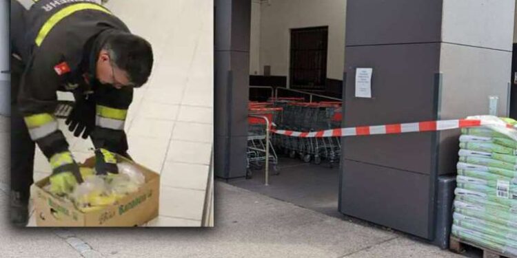 Avusturya’da örümcek alarmı: Isırığı ‘kalıcı ereksiyona’ neden oluyor!