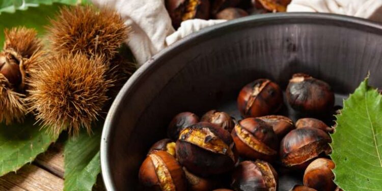 Kalp hastalıklarından kansere bir mucize: Kestanenin sağlığa faydaları