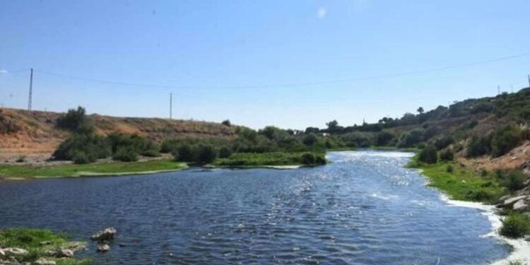 Prof. Dr. Baycan: Saniyede 30 milyon mikroplastik parçacığı, Ege Denizi’ne karışıyor