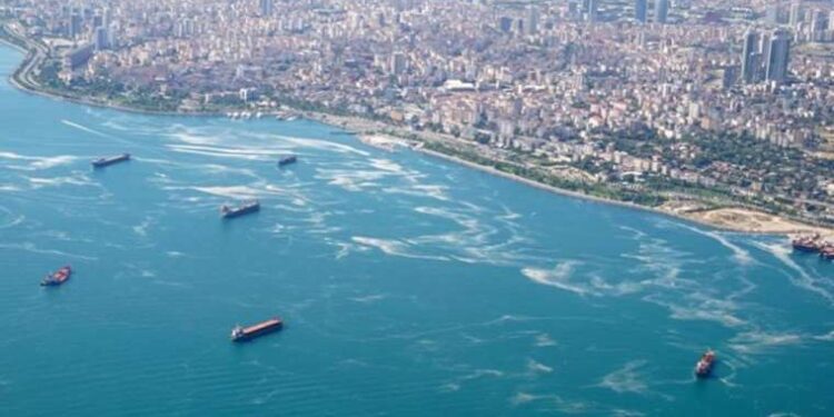 Sonuçlar ürkütücü: Sıcaklık artıyor, oksijen azalıyor