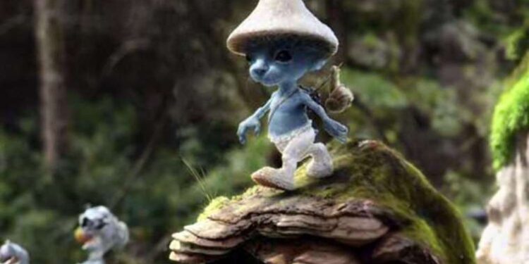 Mavi şirin kedi nedir? Mavi şirin kedi ne anlama gelmektedir?