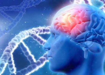 Alzheimer hastalığında çığır açan yeni araştırma: Beyin hücreleri, nekroptoz geçiriyor