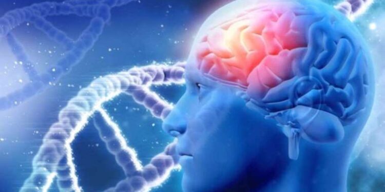 Alzheimer hastalığında çığır açan yeni araştırma: Beyin hücreleri, nekroptoz geçiriyor