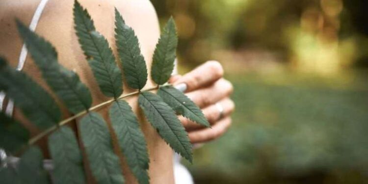 Bu ağacın yaprağını yakıp 10 dakika bekleyin ve mucizeye tanıklık edin!