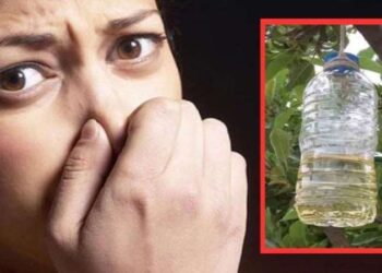 Ağız kokusunu anında geçirecek doğal yöntemler! 1 kaşığı sizi ağız kokunuzdan kurtaracak…