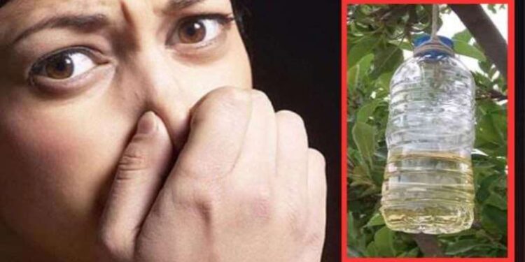 Ağız kokusunu anında geçirecek doğal yöntemler! 1 kaşığı sizi ağız kokunuzdan kurtaracak…