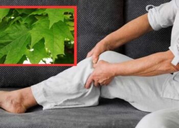 İbrahim Saraçoğlu eklem kireçlenmelerini 1 ayda geçiren kürün tarifini verdi! 1 yaprağı kireçlenmelere son veriyor…