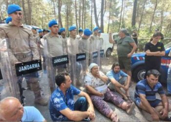 Orman politikası uzmanından Akbelen yorumu: ‘Orman bize hayat veriyor, çıkan kömür ise şirkete fayda sağlayacak!’