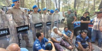 Orman politikası uzmanından Akbelen yorumu: ‘Orman bize hayat veriyor, çıkan kömür ise şirkete fayda sağlayacak!’