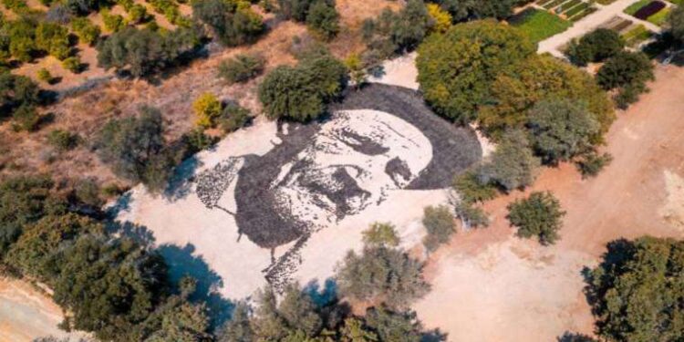 Aşık Veysel’in vefatının 50. yılında 25 bin avuç topraktan dev portresi yapıldı