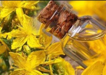 Doğal antidepresan: Kantaronun olağanüstü faydalarını keşfedin!