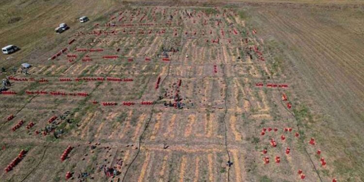 Soğanın başkenti… Tonlarca soğan buradan sofralara geliyor